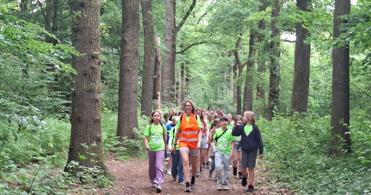 Avondvierdaagse in Scherpenzeel start 1 juni: online inschrijven kan nog tot 31 mei