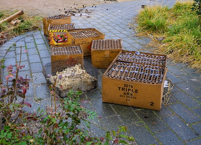 Jongen in Driebergen zwaargewond door vuurwerk