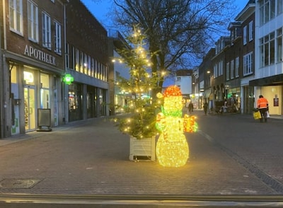 ‘Kleine snotblagen’ stelen grote, dure sneeuwpop uit hartje Tiel, wethouder boos: ‘Stond er verdorie
