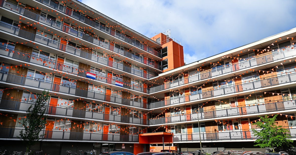 Deze flat is het hele jaar oranje, maar voor Frank is dat niet genoeg en dus doet hij dit