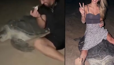 Woede nadat influencer op schildpad gaat zitten in Oman: ‘Hij houdt zelfs een babyschildpad vast’
