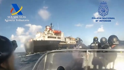 Bendes smokkelen coke naar Nederland tussen stervende koeien en rottend vlees: ‘Blijf er geen minuut aan boord’