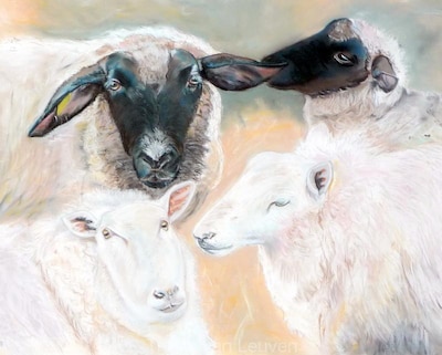 Museum van de Wijk toont pastels in Geitenkamp