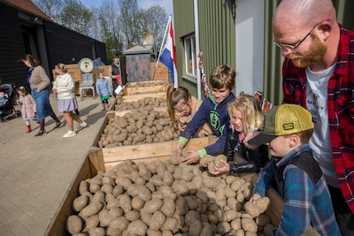 Recordoogst en Trump-heffingen zorgen voor aardappeloverschot: ‘Voedselsysteem loopt compleet vast’