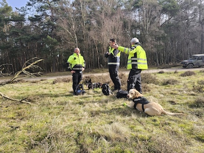 Dominic is thuis: dit is hoe – wanhopig – naar hem werd gezocht en waarom hij alsnog is gevonden