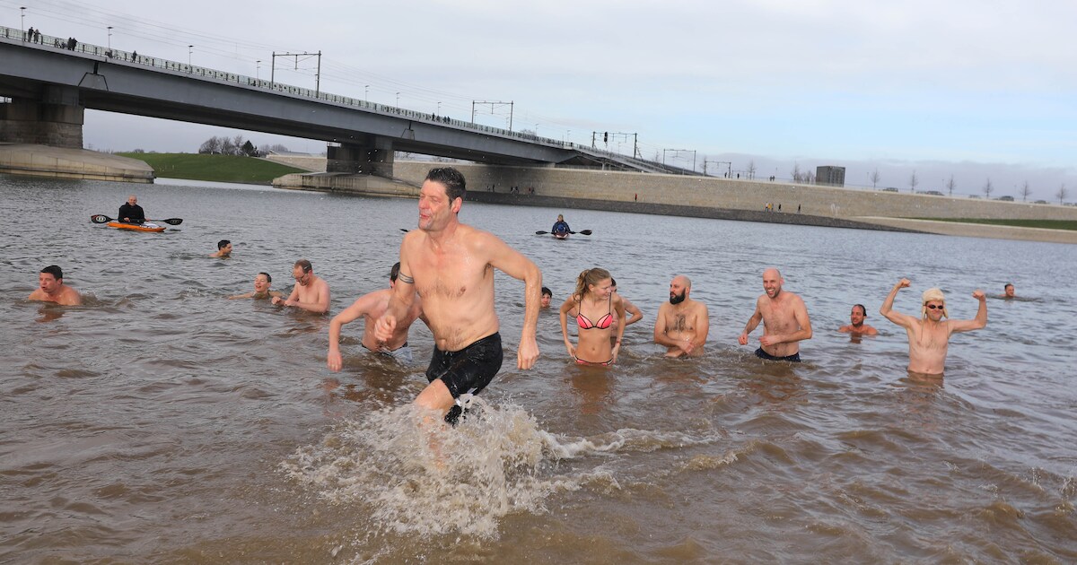 Meerdere stranden in regio verboden voor honden