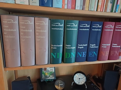 Van Dale kiest ‘hallucineren’ tot het Woord van het Jaar 2025