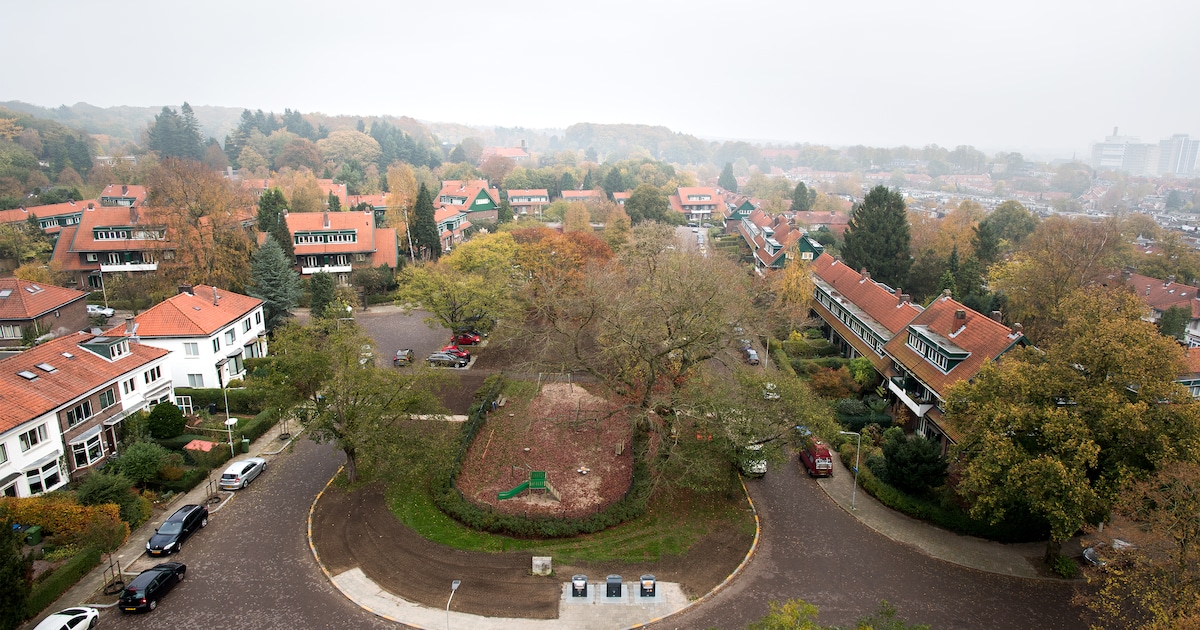 wbva-in-arnhem-kan-nu-de-eigen-boontjes-doppen-regio-de