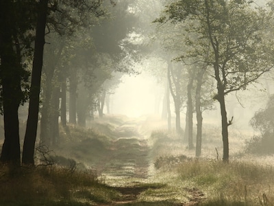 Dauwtrappen met gids bij Natuurcentrum De Ginkel in Ede