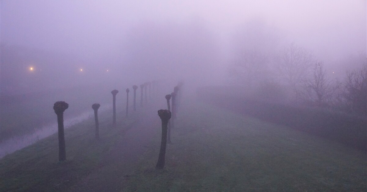 Mist of mistbanken in Westervoort in de avond