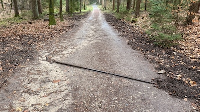 Huh, spoorrails midden in een bos? Ze liggen er niet voor een trein, maar waar zijn ze dan wel voor?
