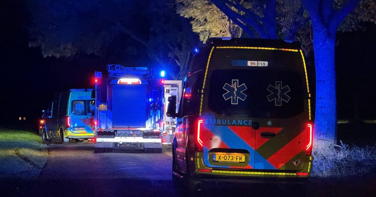 Persoon overleden bij ernstig ongeluk: auto ramt boom, reanimatie mag niet meer baten.