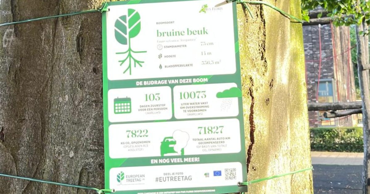 Tien bijzondere bomen in gemeente Maashorst krijgen boomposter