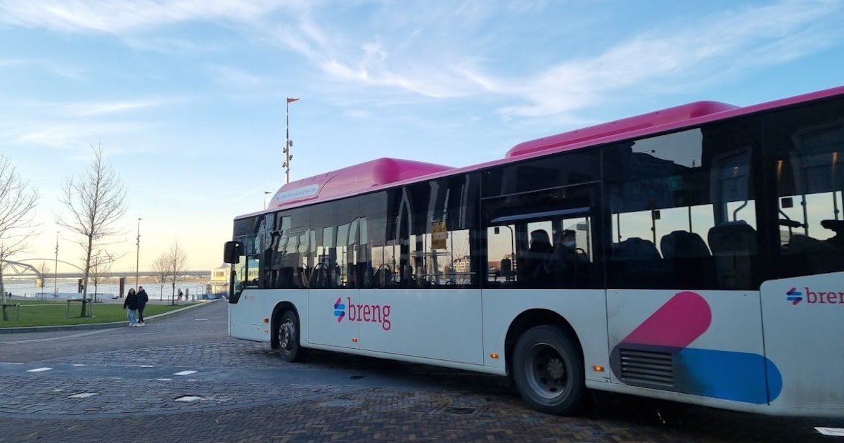 Nieuwe tarieven Breng bussen | Regio | De Gelderlander.nl