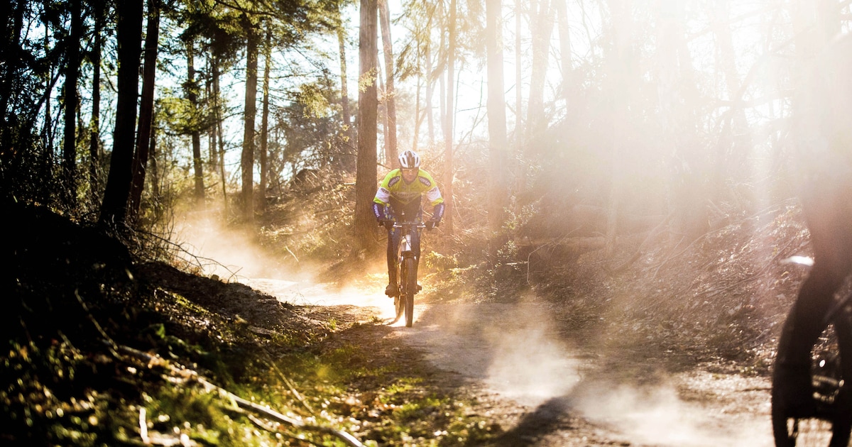Mag je nog fietsen op de mtb-routes in het Rijk van Nijmegen? Zo zit het