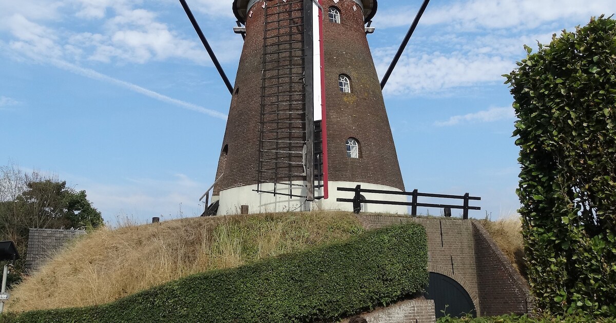 Bewoners redden molen De Witten in Etten met verkoop van fazanten en ...