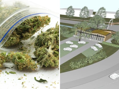 Zo gaat de eerste wietboulevard (ook wel ‘McWiet’) van Nederland in Tiel eruit zien: ‘Keurig gebouwtje, deels van hennep’