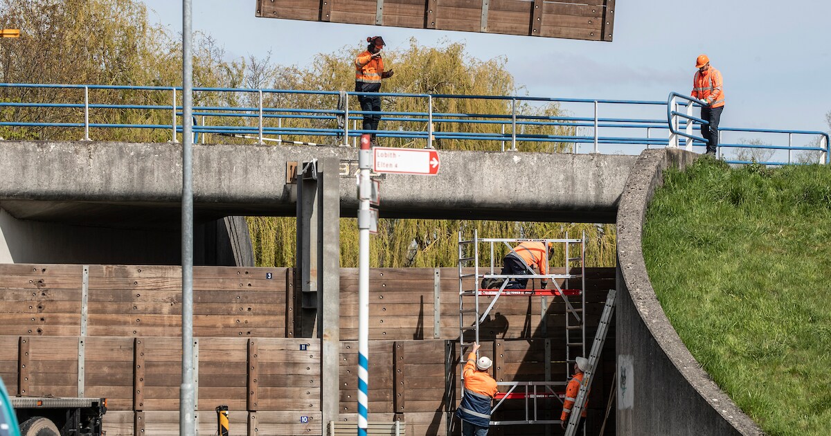 Droge voeten voor inwoners Tolkamer en Lobith: schotbalken glijden soepel in coupure