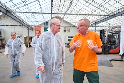 Nieuwe EU-regels dwingen tuinders terug naar aardgas: ‘Dit maakt paprika’s en tomaten direct duurder’