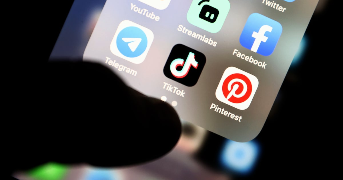 Tiener uit Lage Zwaluwe gebruikt gezicht van agent als profielfoto op TikTok en wordt opgepakt