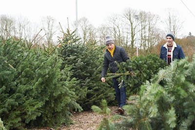 Met deze tips weet je of je een goede kerstboom te pakken hebt én hoe je ervoor zorgt