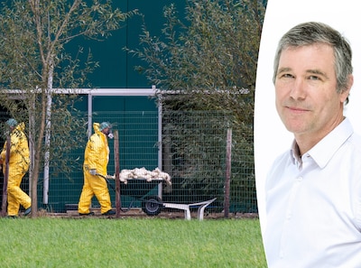 Alles wijst erop dat de vogelgriep heftig zal rondspoken dit jaar