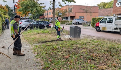 Vele bloemen in tuintje dat bioloog Luc beheert, tot gemeentelijke bosmaaier langskomt