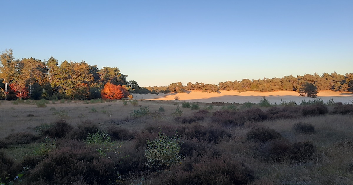 Gebiedsperspectief voor Utrechtse Heuvelrug gepresenteerd