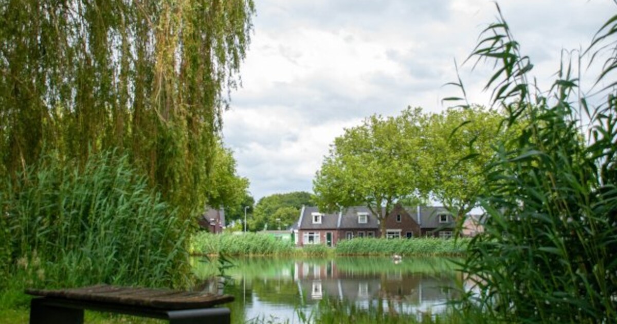 Bergen laat verschillende bergingsvijvers in de gemeente uitbaggeren