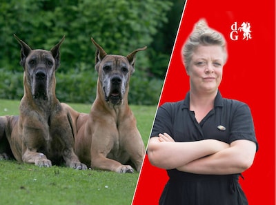 Ineens denk ik: ik zou mezelf eens moeten klonen