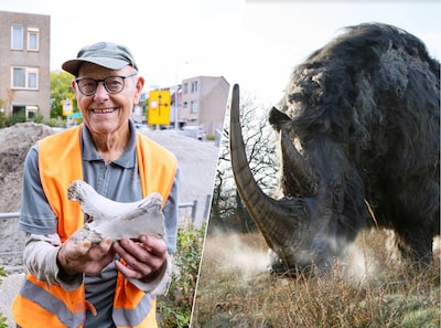 Als Frank onkruid staat te wieden trekt hij ineens een eeuwenoud fossiel uit de bosjes
