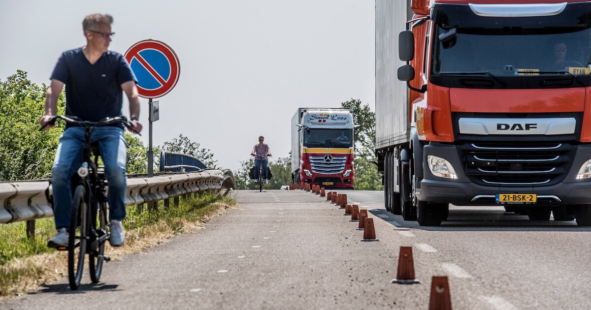 Veiligheidspaalpaal Roestvrijstalen Wegpaal Waarschuwingspaal 55cm