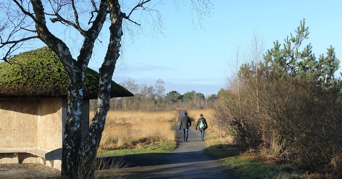 Peeltocht met soep in Nationaal Park De Groote Peel
