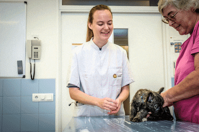 Schattig zo’n platte snuit, maar deze honden worden er ziek van: onderzoeker Eveline uit Utrecht pro
