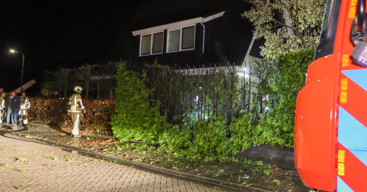 Twee coniferenhagen kort na elkaar in brand in Renswoude