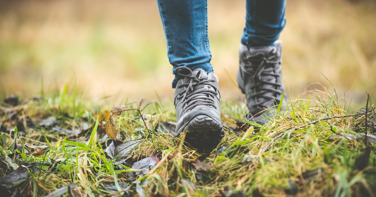 Natuurwandeling Gastels Laag in hart Halderberge: planten en dieren ontdekken