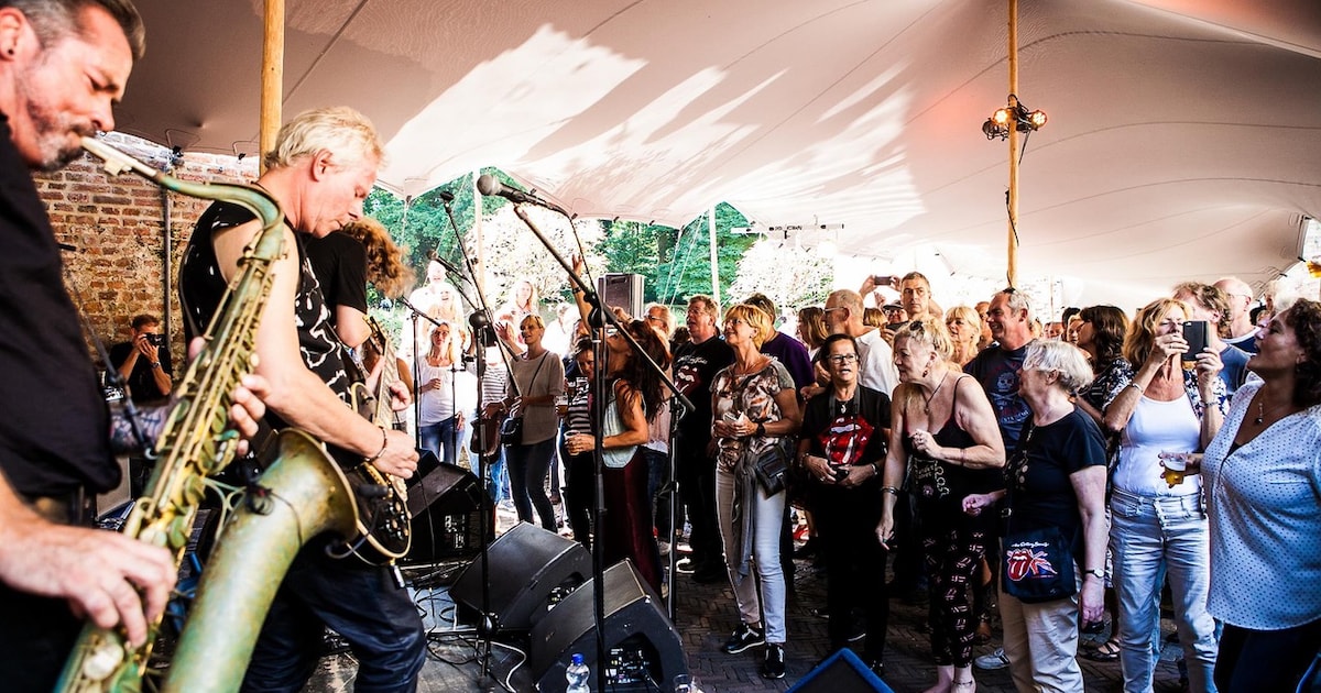 Oude tijden herleven met bluesfestijn op kasteel Duurstede, ooit een burcht van hippies
