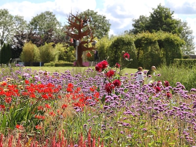 Plukmomenten en muziek bij BloemenBalsem in Appeltern