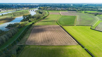 Vijf gebieden langs de IJssel moeten straks onderlopen bij hoogwater: dit betekent het voor jouw hui