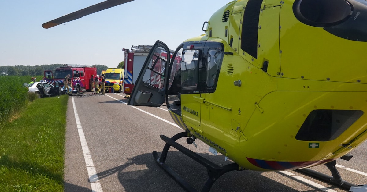 Zoon van overleden man krijgt geen smartengeld na frontale botsing veroorzaakt door vrouw.
