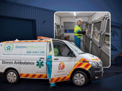 Schokkende verhalen van vrijwilligers van de dierenambulance: schandpaal, intimidatie en zwijgplicht ‘alsof we in de middeleeuwen leefden’