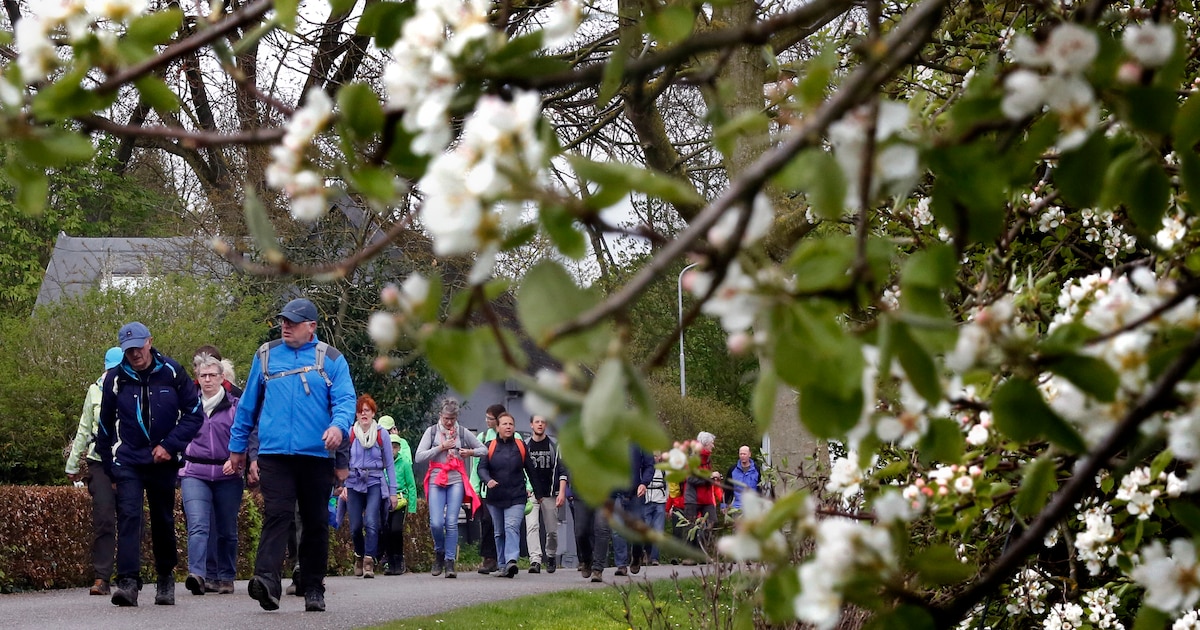Betuwse Bloesemtocht keert terug in Geldermalsen