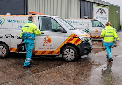 Gemeenten beraden zich op stappen na misstanden bij dierenambulance: taken mogelijk naar andere part