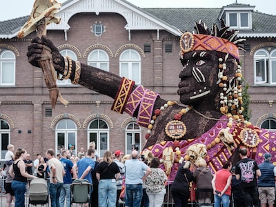 Na het gevecht tegen de hitte, storm en regen is daar het resultaat: deze dahliareuzen trekken door 