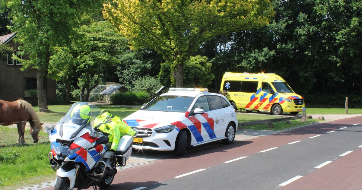 Fietser gewond bij ongeluk met bestelbus in Renswoude