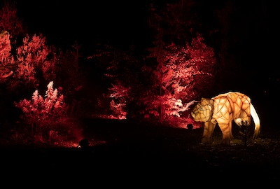 Succesformule lichtjesfestijn maakt doorstart op gloednieuwe locatie