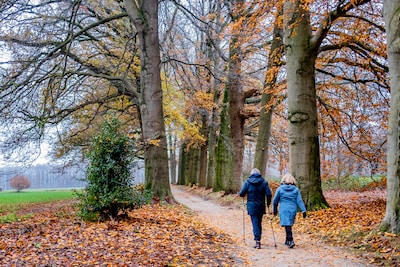Ambtenaren die opstappen om kleine bosgebieden? Hoe zit dat?
