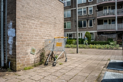 ‘Getto’ in Kronenburg zorgt voor herkenning: ‘Ook in andere wijken stapelen de problemen zich op’
