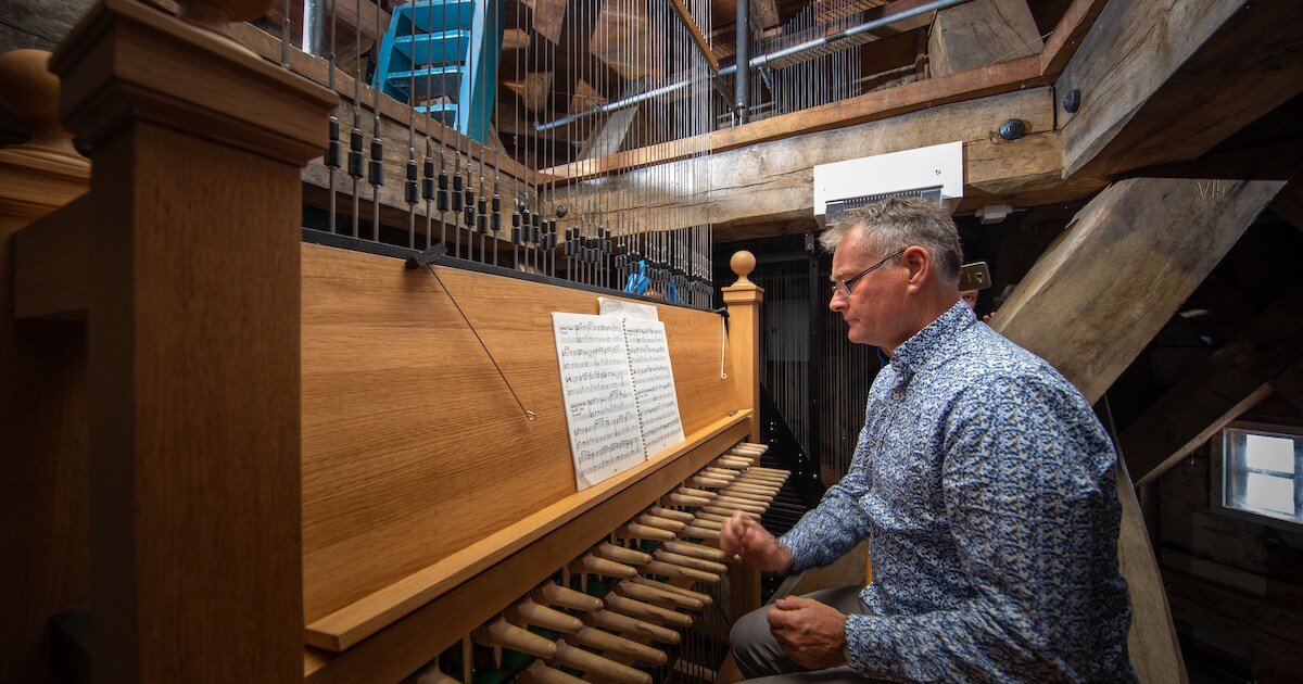 Stadsbeiaardier Frans Haagen geeft Wijnhuisconcert in Zutphen