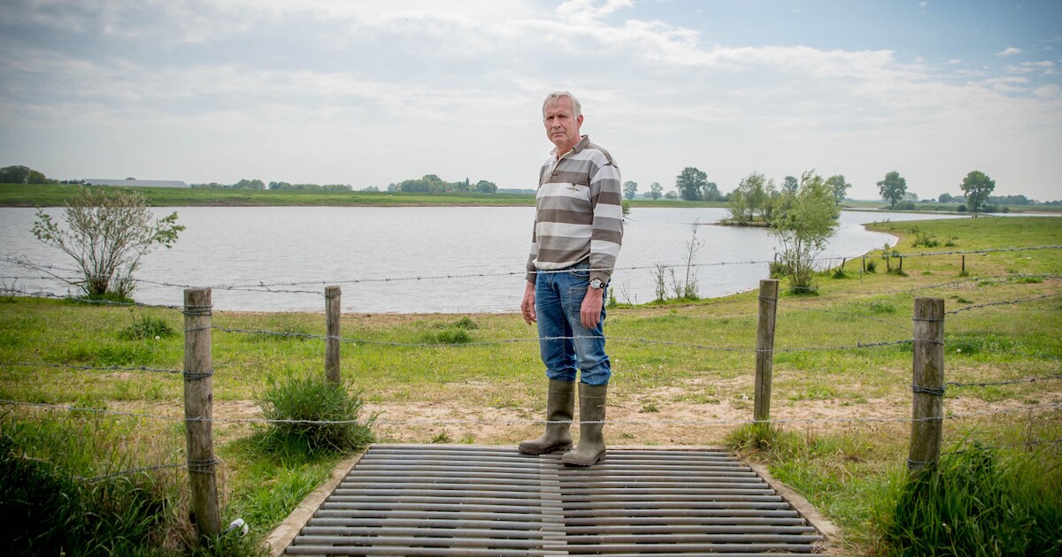 Boer is loslopende honden beu